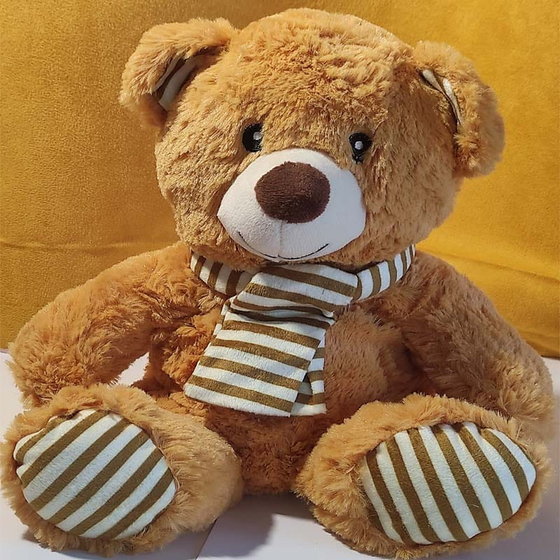 Bouillotte peluche ours chauffante, confection française garnie de blé et lavande, douce chaleur au micro-ondes, idéale pour enfants et adultes.